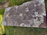 image of grave number 377627